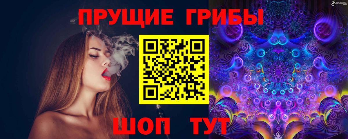 Псилоцибиновые грибы Psilocybe  Вход с VPN  Кировск 